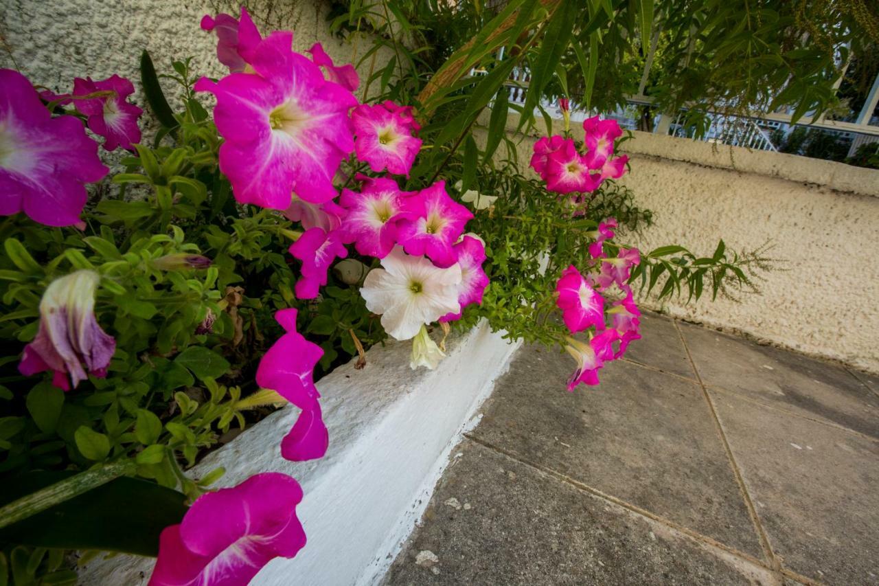 Marietta'S Townhouse Villa Argostoli  Bagian luar foto