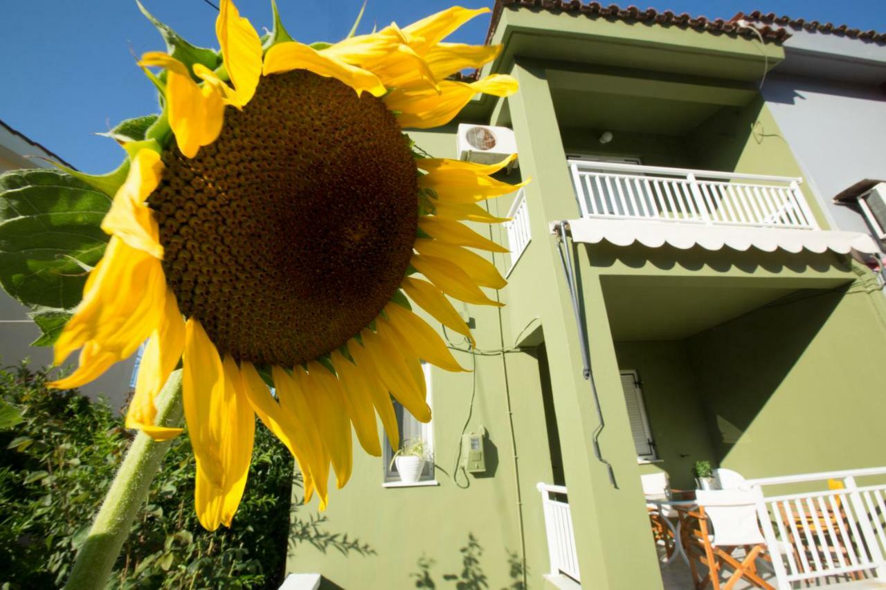 Marietta'S Townhouse Villa Argostoli  Bagian luar foto
